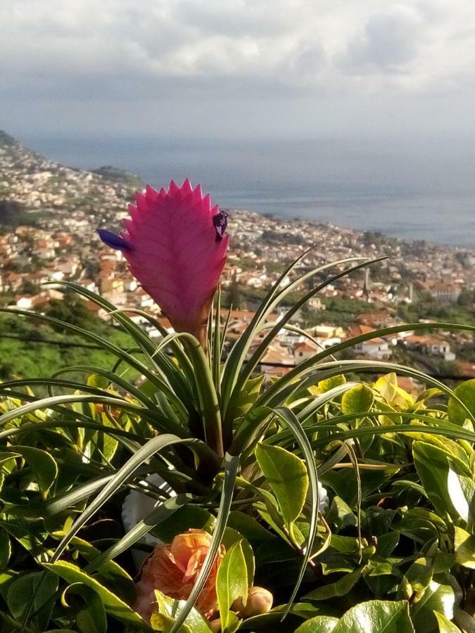 La Chambre de Ker Briac Funchal  Exterior foto